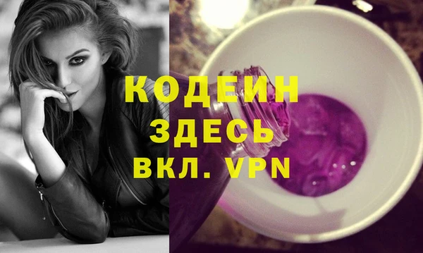мдпв Заводоуковск